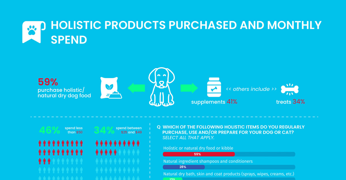 ethnographic research